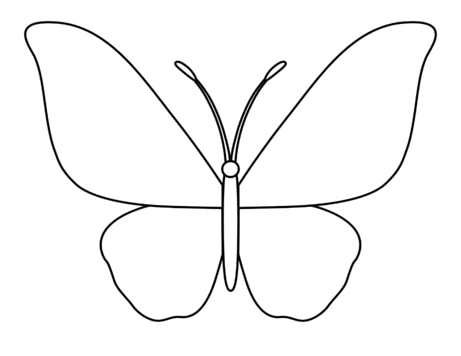 Butterfly Outline A Coloring Pages Pdf Free Vectors
